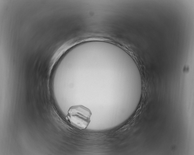 X0000115660296200911120950