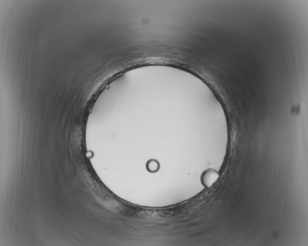 X0000115660297200911120950