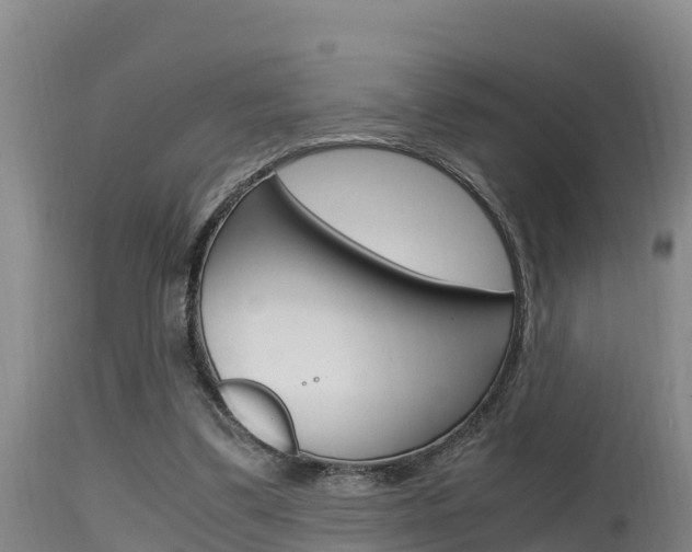 X0000115660299200911120950