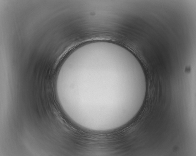 X0000115660300200911120949
