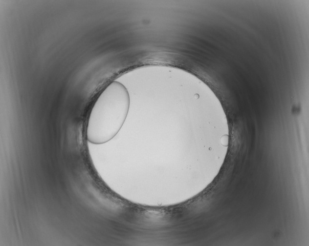 X0000115660302200911120949