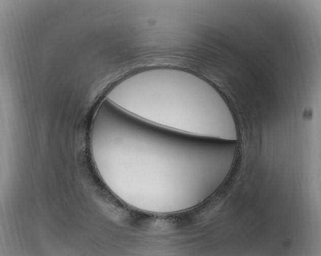 X0000115660303200911120949