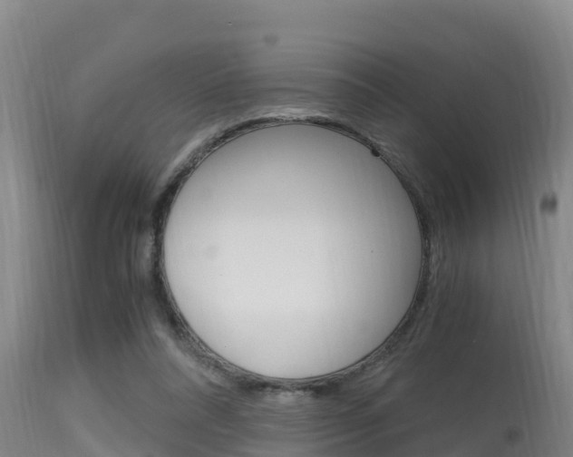 X0000115660304200911120949
