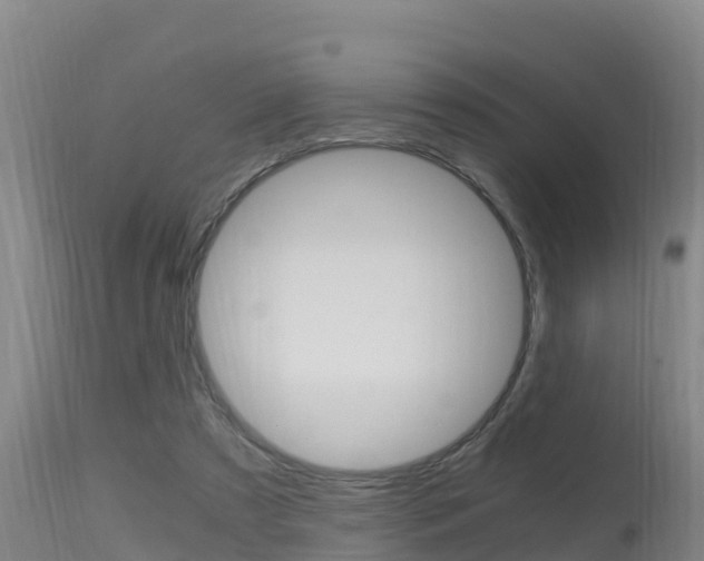 X0000115660305200911120949