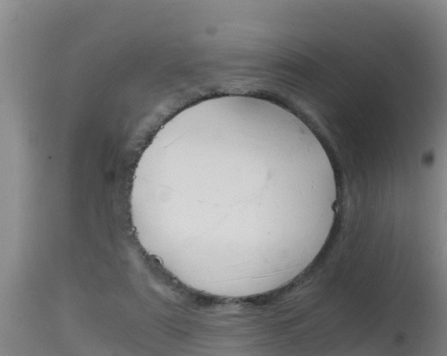 X0000115660307200911120949