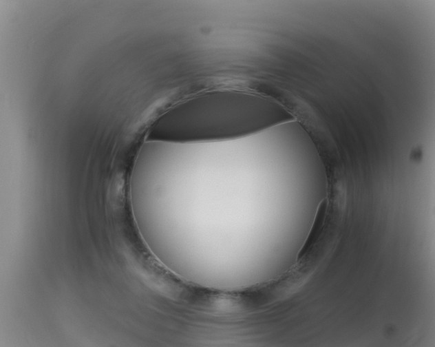 X0000115660308200911120949