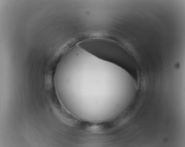 X0000115660312200911120949