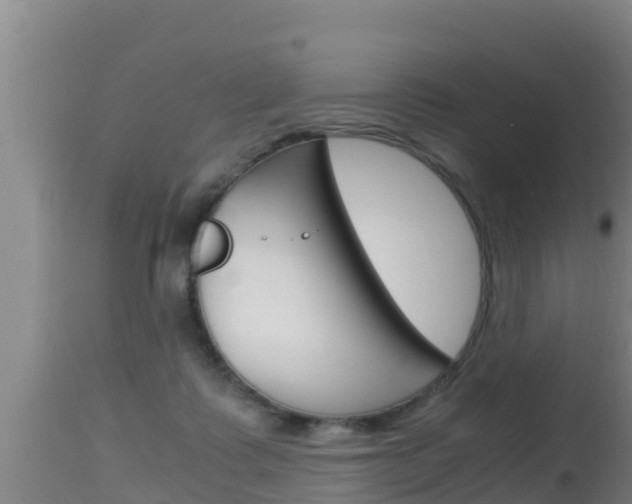 X0000115660315200911120949