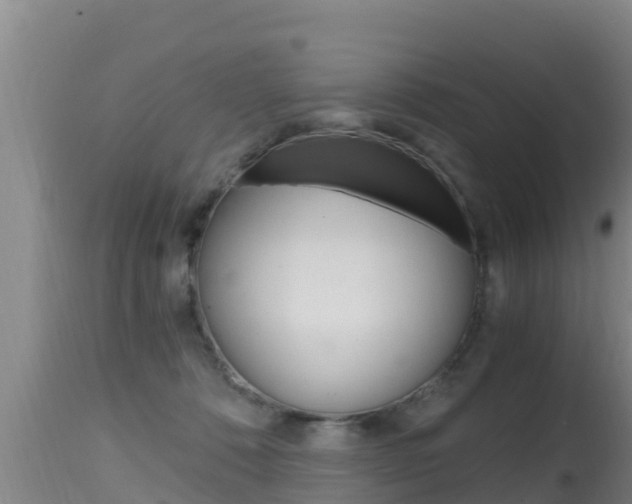X0000115660320200911120949