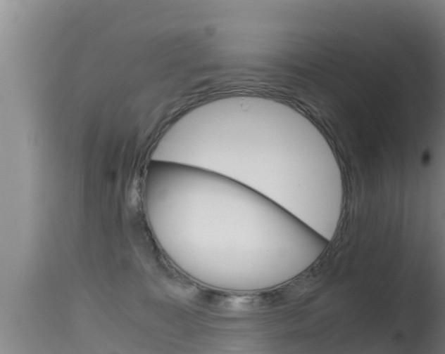 X0000115660323200911120949