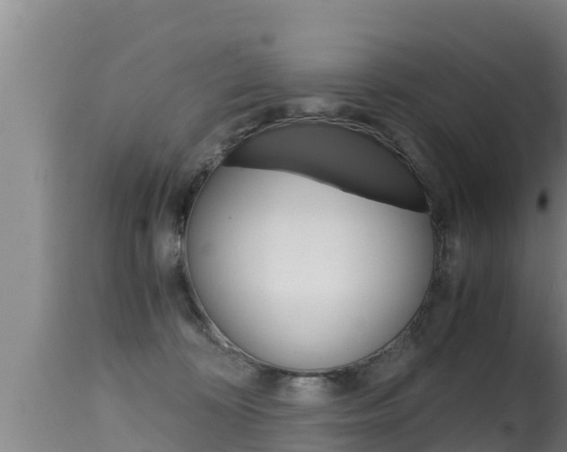 X0000115660324200911120949