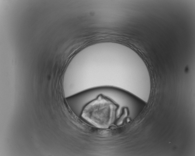 X0000115660325200911120949