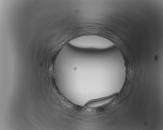 X0000115660329200911120949