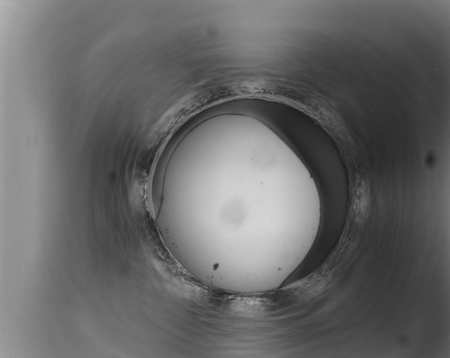 X0000115660332200911120949