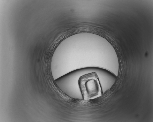 X0000115660333200911120949