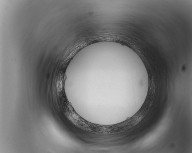 X0000115660334200911120949