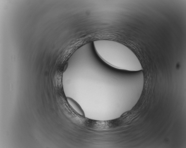 X0000115660335200911120949