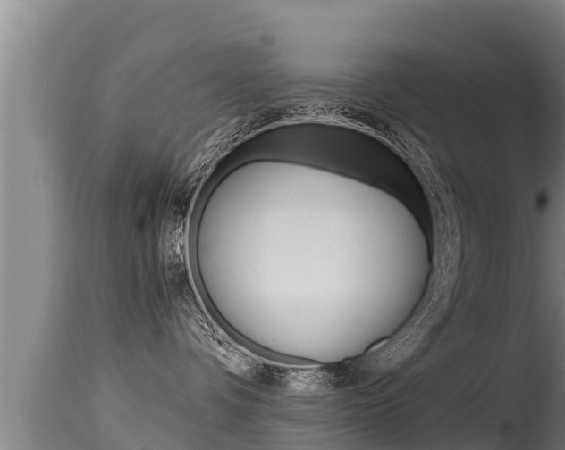 X0000115660336200911120949