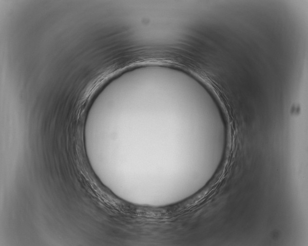 X0000115660337200911120948