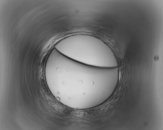 X0000115660339200911120948