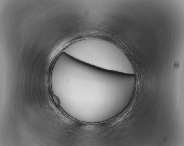 X0000115660341200911120948