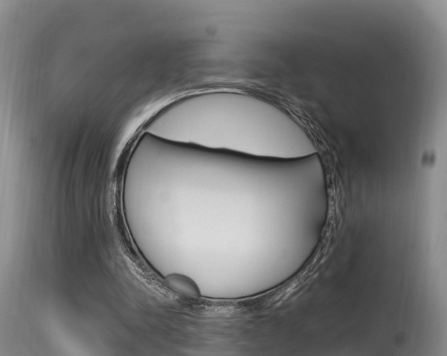 X0000115660342200911120948