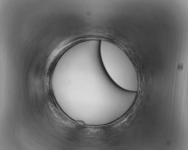 X0000115660343200911120948