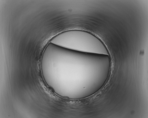 X0000115660345200911120948