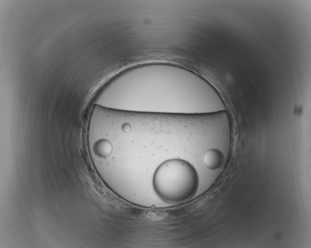 X0000115660346200911120948