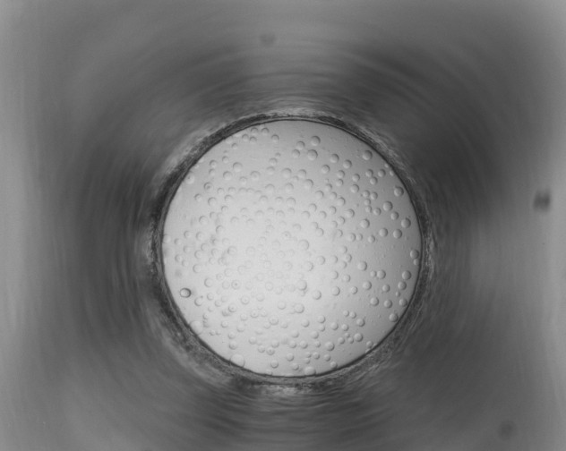 X0000115660347200911120948