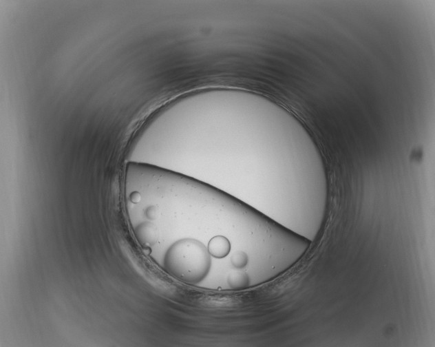 X0000115660349200911120949