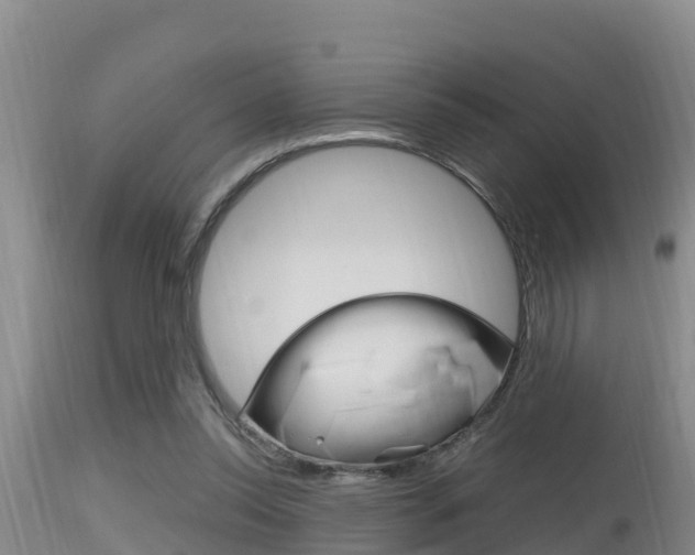 X0000115660350200911120949