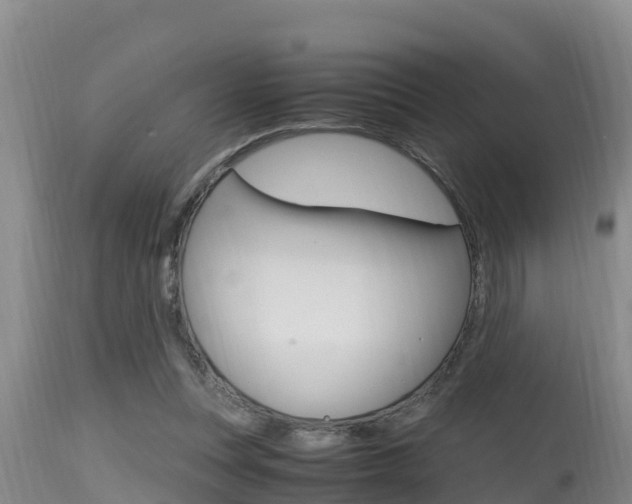 X0000115660351200911120949