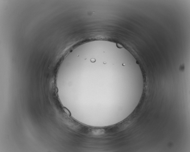 X0000115660355200911120949