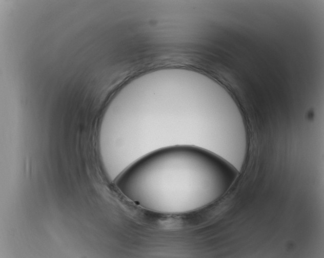 X0000115660362200911120949