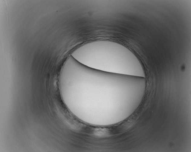 X0000115660363200911120949