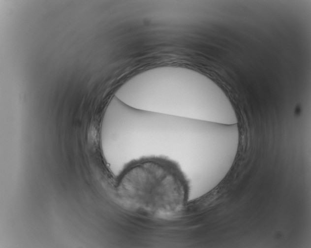 X0000115660371200911120949