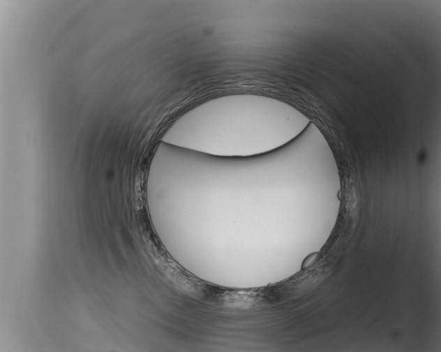 X0000115660378200911120949