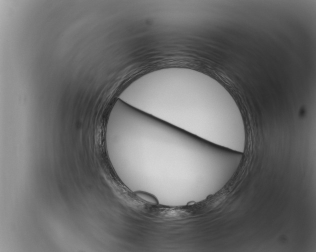 X0000115660379200911120949
