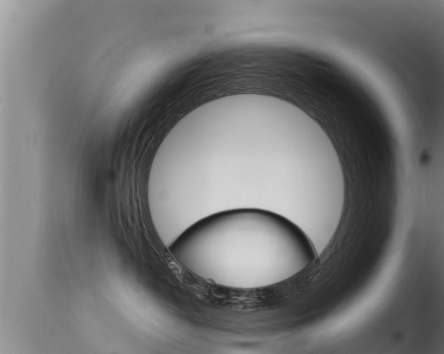 X0000115660382200911120949