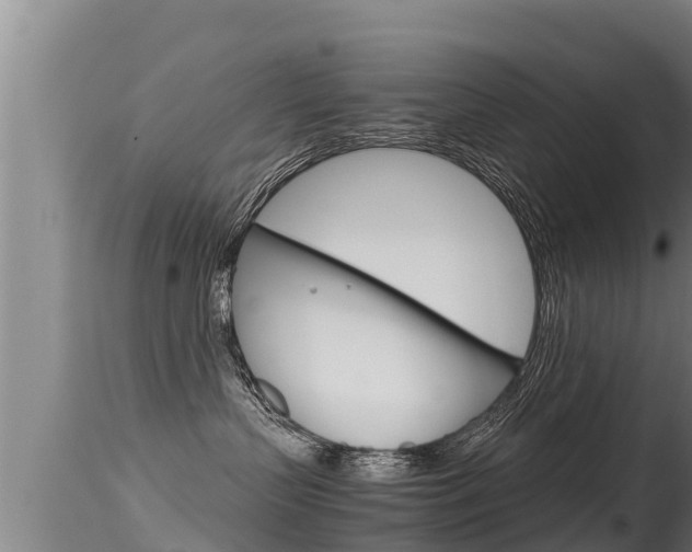 X0000115660383200911120949