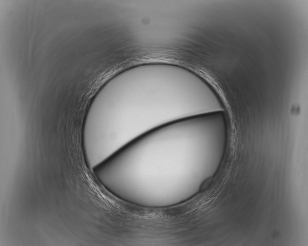 X0000115660385200911120948