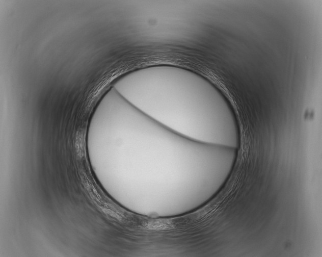 X0000115660386200911120948