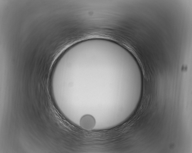 X0000115660387200911120948