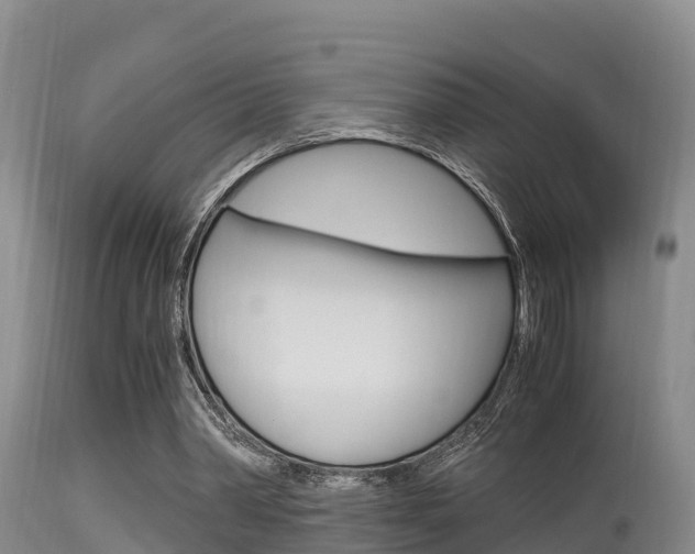 X0000115660390200911120948