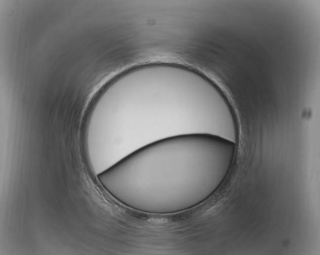 X0000115660391200911120948