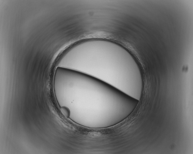 X0000115660392200911120948