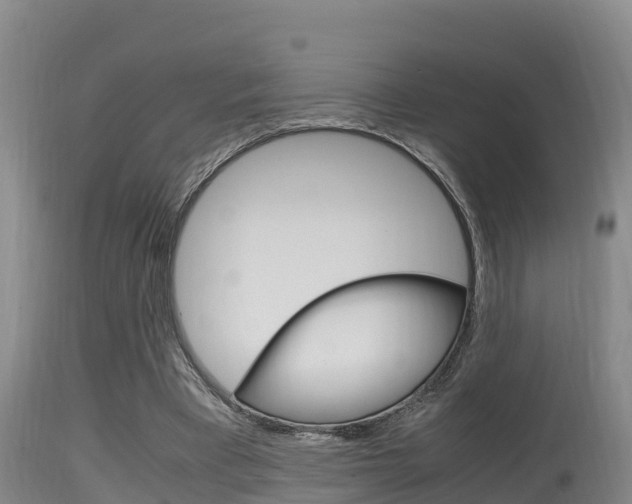 X0000115660393200911120948