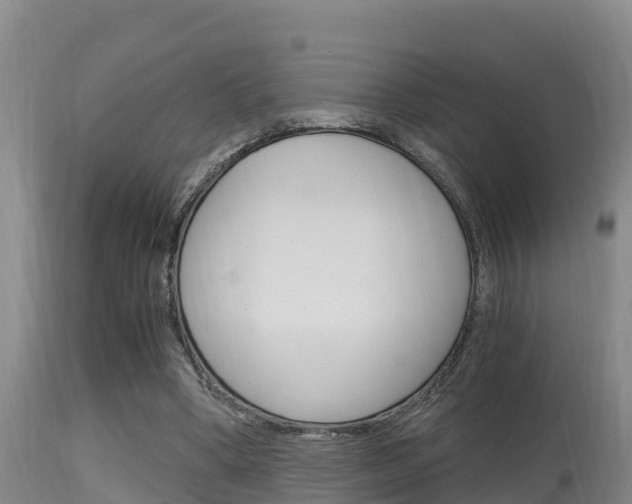 X0000115660394200911120948