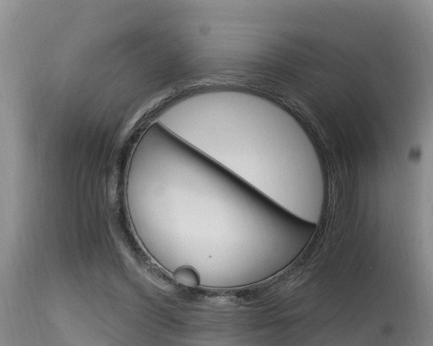 X0000115660396200911120948